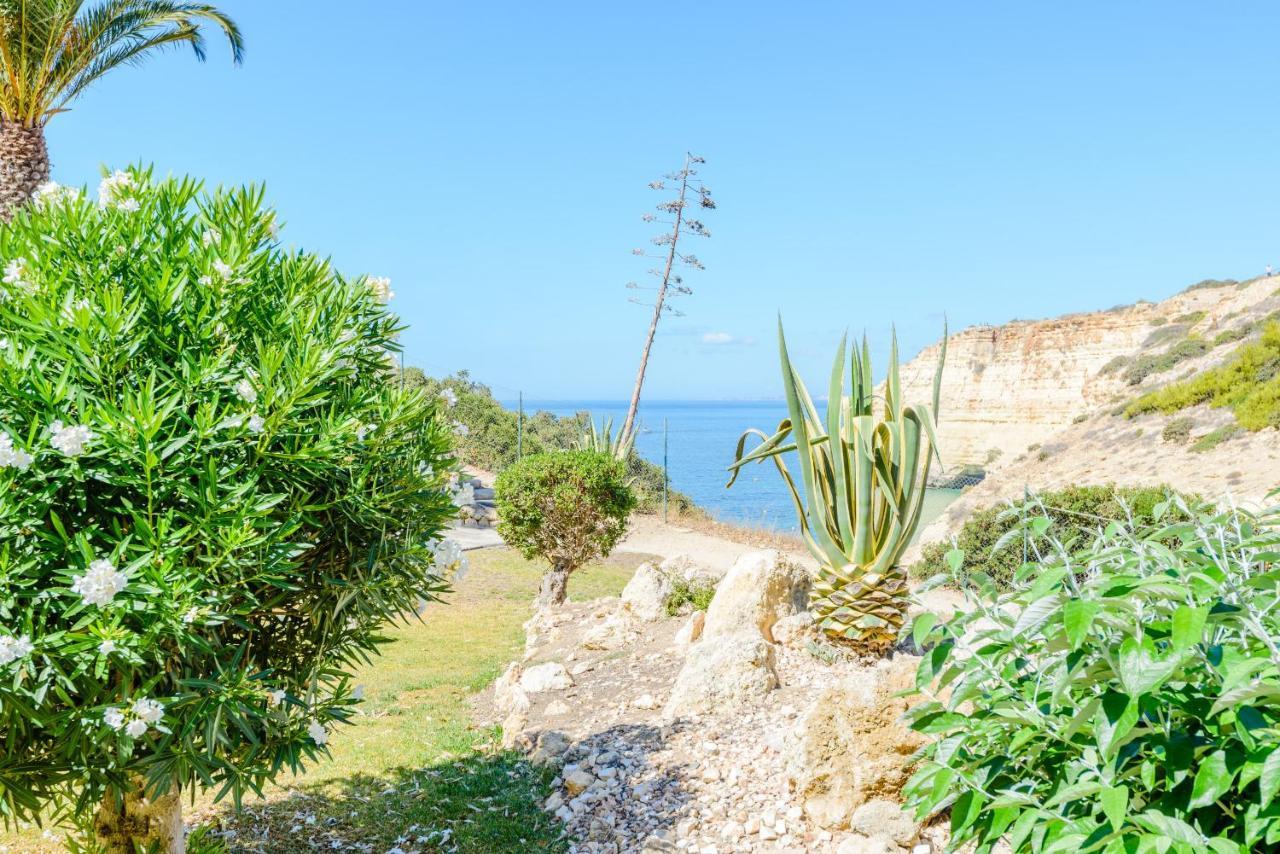 The Little Paradise With Sea Views Carvoeiro  Ngoại thất bức ảnh